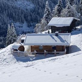 Grubi´s Chalet Alm โรงแรมในแกร์ลอส