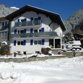 Appartement Zint, hotel in Sankt Gallenkirch