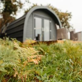 Cefn Crib Cabins, Hotel in Machynlleth