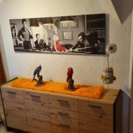 Schöne 4-Zimmer-Ferienwohnung zu vermieten