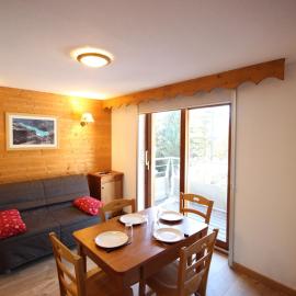 Appartement 2 pièces proche pistes pour 4 personnes, animaux admis