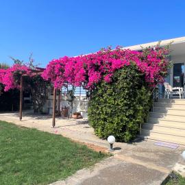 Villa Villino Blu by the sea