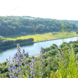 Retro getaway at the Meuse valley, viešbutis mieste Waulsort