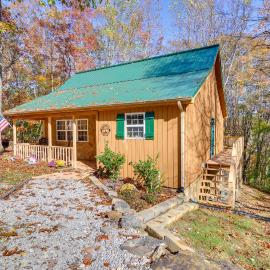Burnside Resort Cabin w/ Hot Tub & Outdoor Spots!, hotel in Burnside