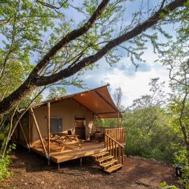Campizo Glamping - Monterrey X NANTLI LIVING، فندق في Allende