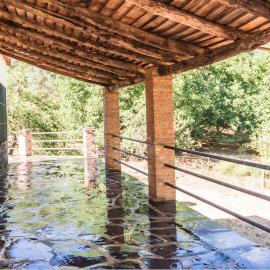 Pozuelo 3 JABUGO