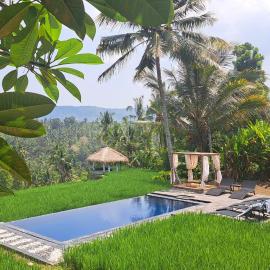 Bali De Pardis Cottage, Hotel in Munduk