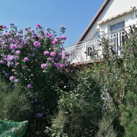Pension Haus Anneliese、ユッケリッツのホテル