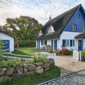 Vier Lärchen