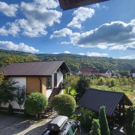 Veronika Domik, hotel a Solochin