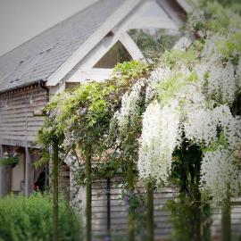Acorn Barn, hotel in Crediton