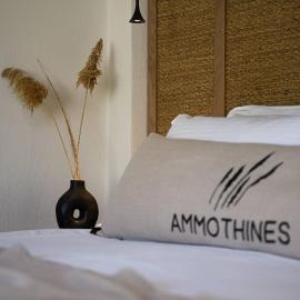 Ammothines Beach Suites