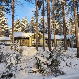 Villa Aleksi with Sauna