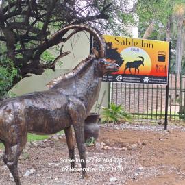 Modimolle में, होटल SABLE INN B&B