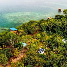 Roam Yoga & Wellness Lodge, hotelli Bocas Townissa
