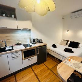 Le Carnot - Hospices - Centre - Climatisation