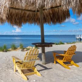 Beachy Vibes + Game Day Fun on the Bay!, hotel u gradu Tampa