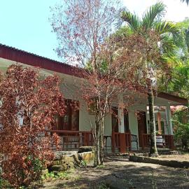 Tangkoko Jungle Homestay, hotell i Rinondoran