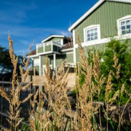Vandrarhemmet Gröna Villan Vare 4, Hotel in Träslövsläge