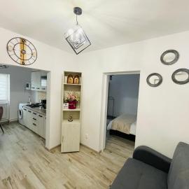 Apartament CHIC, hotel in Vatra Dornei
