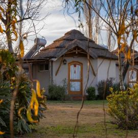Raices Chivilcoy
