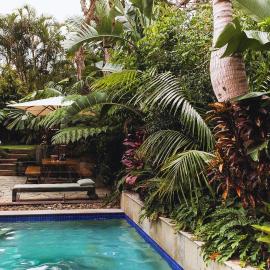 Beach Jungle - Hot Tub, Firepit & Pool in Beachside Oasis
