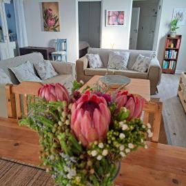 Garden Cottage in Meadowridge, Constantia, hotel a Ciutat del Cap