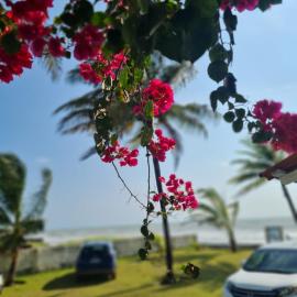 A 2 passos do paraíso