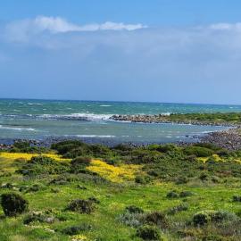 Allview Selfcatering Apartments Jacobsbaai, viešbutis mieste Jacobs Bay