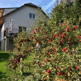U nás Čicmany, hotel di Cicmany