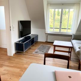 Schönes Single Dachgeschoss-Apartment mit Mainblick