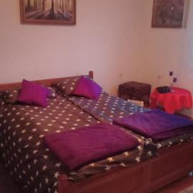 Apartman Brzak