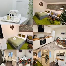 Private Room in a Newly renovated House with its own Kitchenette and Lounge in Birmingham - Quinton R2