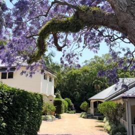Bangalow Guesthouse