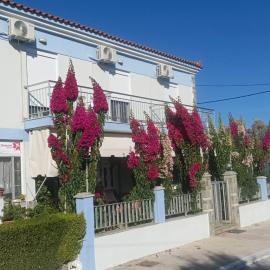 Diamanti Studios: Skala Kallonis şehrinde bir otel
