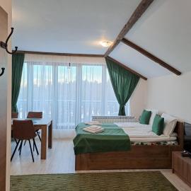 Large studio with view in Borovets Gardens