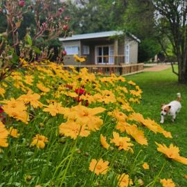 Viesnīca Tsitsikamma Garden Chalets pilsētā Stormsrivīra