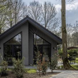 Eco Villa near Forest in Netherlands