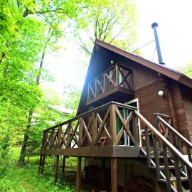 HARUNA LODGE Private log house with starry sky from the skylight, fireplace, and spacious deck BBQ, hotel u gradu Nasu