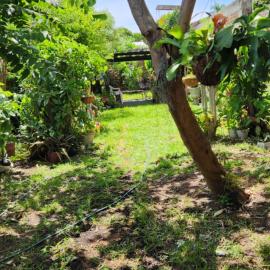 Casa amplia con zonas verdes y cerca a la Basílica