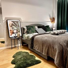 Apartamenty Kielce- GREEN FOREST APARTAMENT, faktura, parking, centrum, hotel in Kielce
