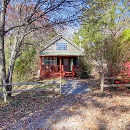 Modern-Rustic ‘Love Cabin’ in Cosby: Deck + Grill