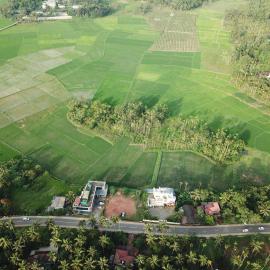 Paddyfield Inn, hotel en Mananthavady