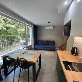 W Sam Las by Klif Ustka - Dwupoziomowy Apartament z Klimatyzacją, Balkonem i Widokiem na Las，烏斯特卡的飯店