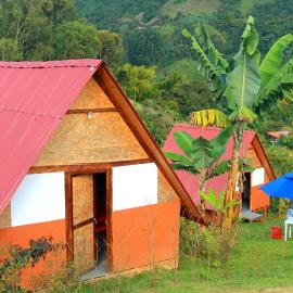 Cabañas Villa Loe: Jardin'de bir otel