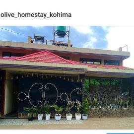 Olive homestay, hotel in Kohīma