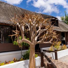 Kleinplasie Guesthouse, hotell sihtkohas Springbok