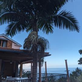 Fantatic Holiday House