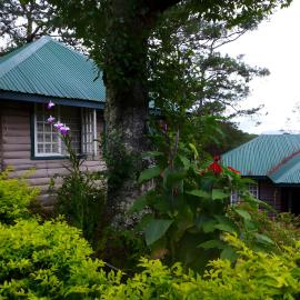 Sagada Resthouse by SagadaRooms