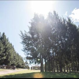 Chacra Los Arándanos, hotel i Durazno